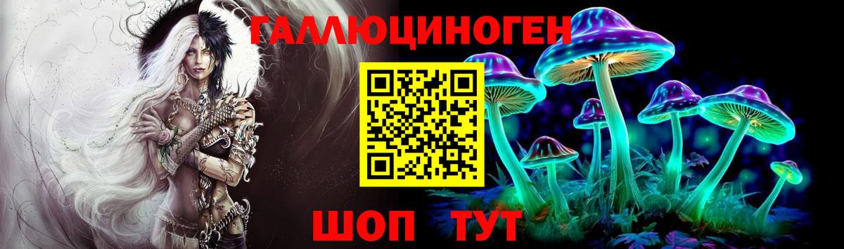 Галлюциногенные грибы Psilocybe Ярцево